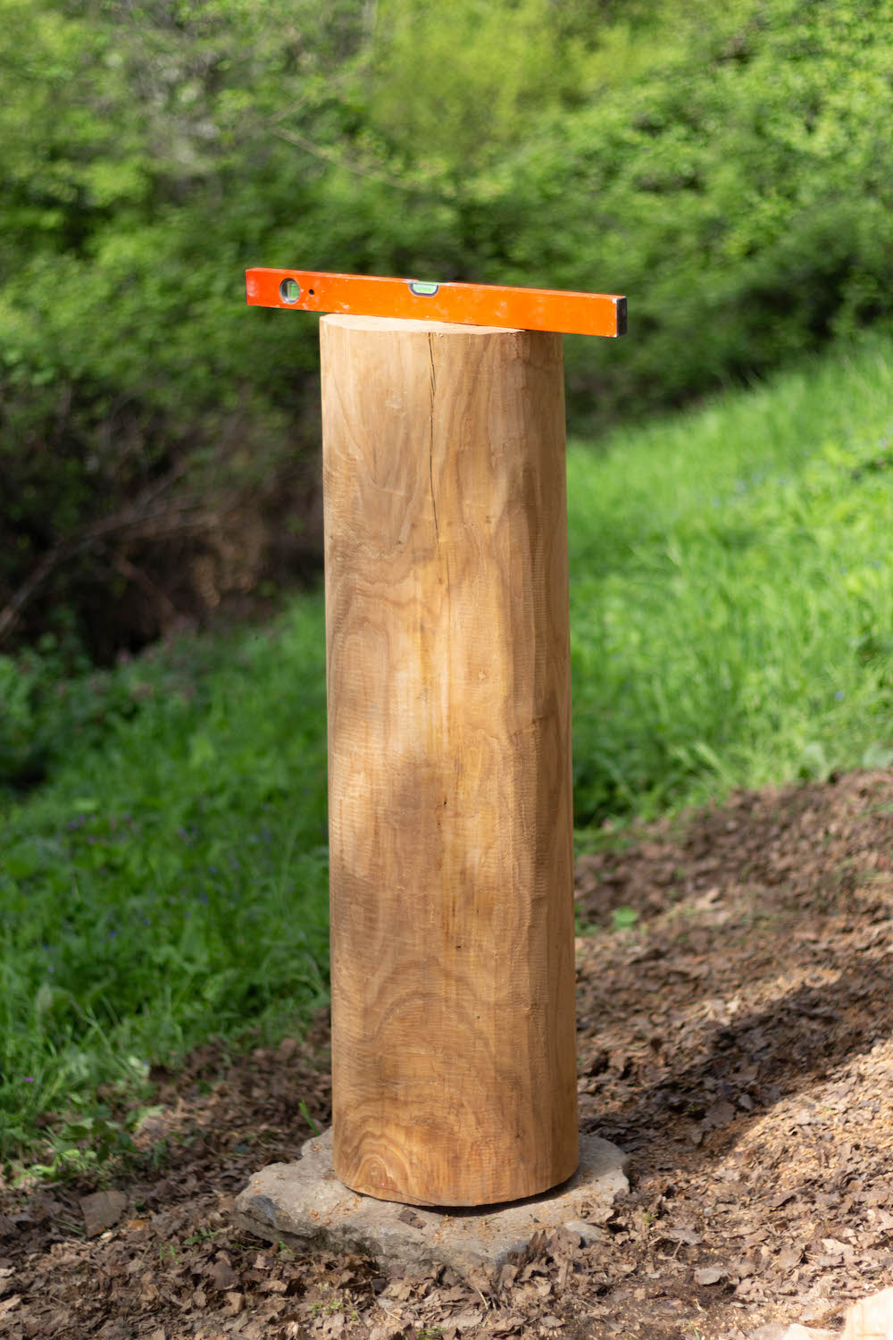 Log